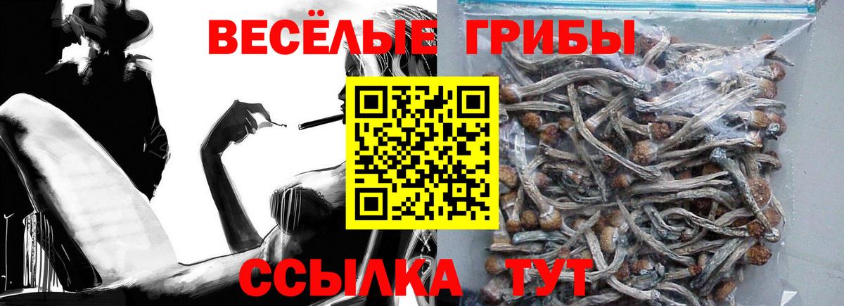 Михайловск  Псилоцибиновые грибы GOLDEN TEACHER  Вход с VPN  Псилоцибиновые грибы прущие грибы 