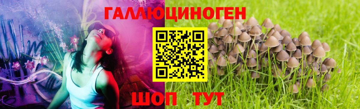 Псилоцибиновые грибы прущие грибы Михайловск